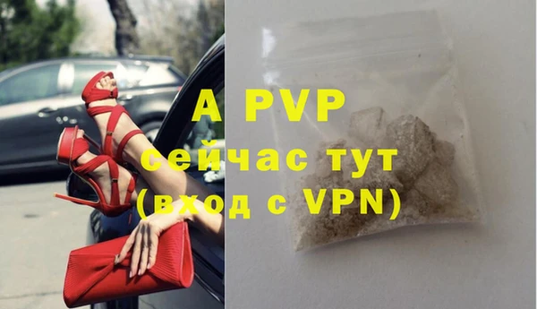 таблы Осинники