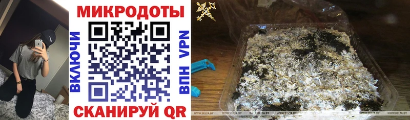 блэк спрут ссылка  где найти наркотики  Пролетарск  Галлюциногенные грибы ЛСД 